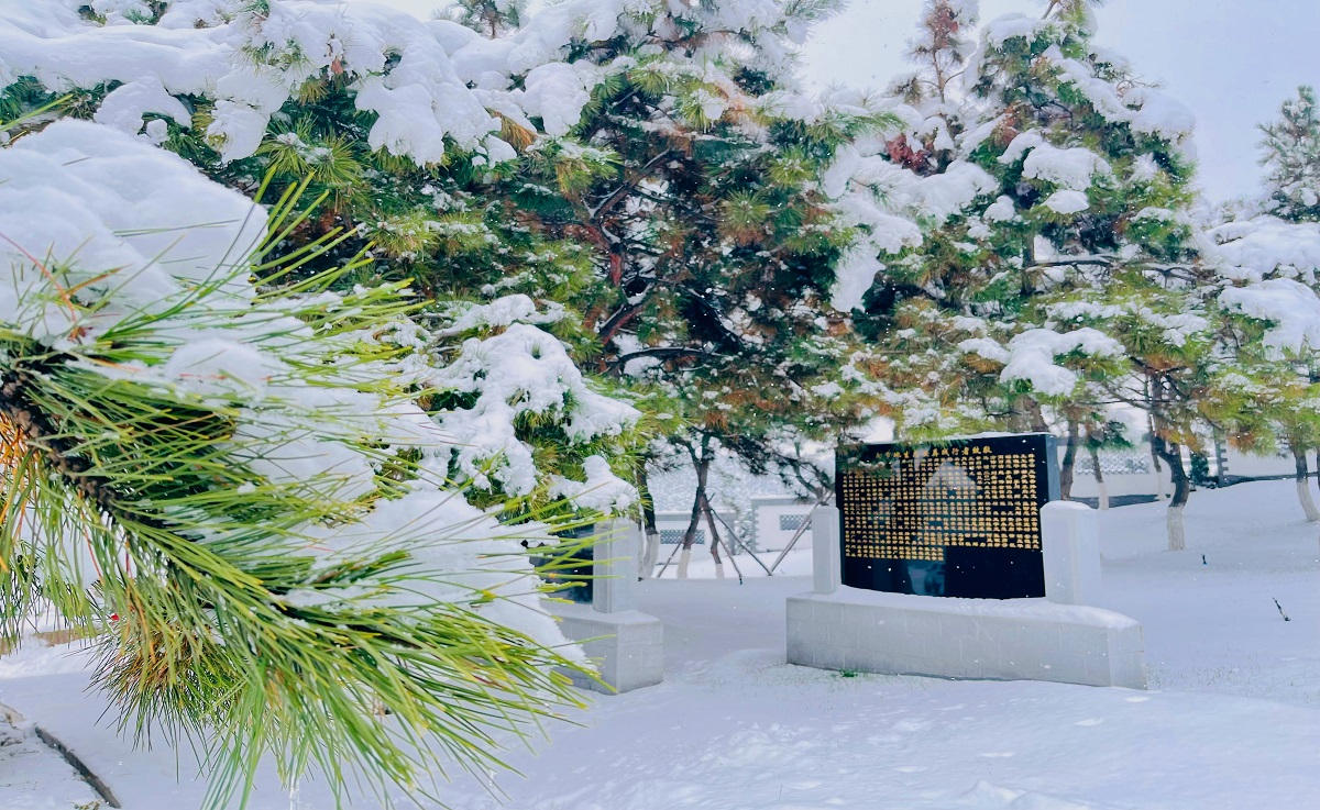 雪